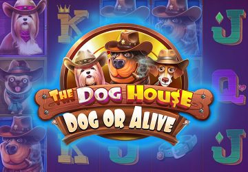 Игра The Dog House Dog Or Alive в казино ЛТС
